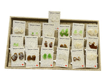 Load image into Gallery viewer, Waves n Sand Earrings